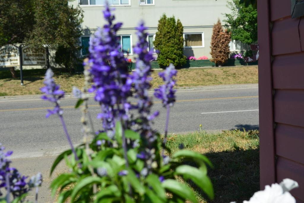 Queensway Court Motel Принс Джордж Екстериор снимка