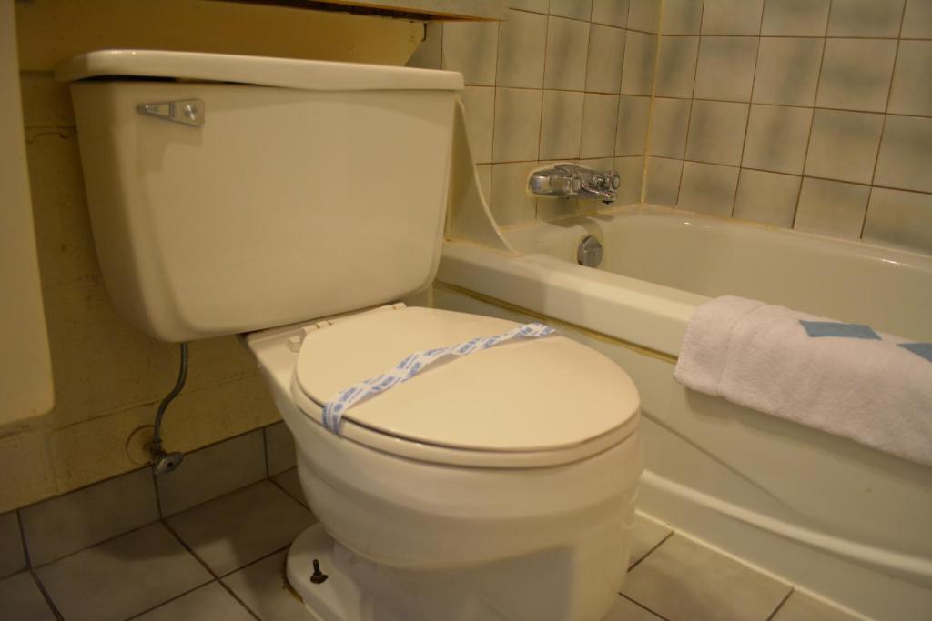 Queensway Court Motel Принс Джордж Екстериор снимка