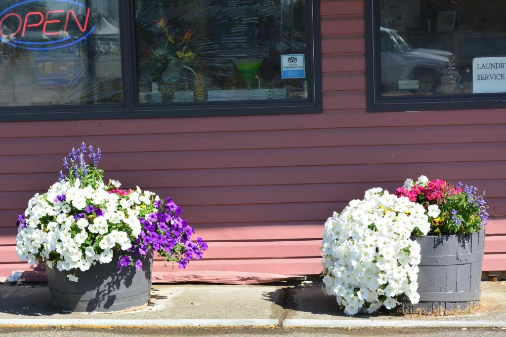Queensway Court Motel Принс Джордж Екстериор снимка